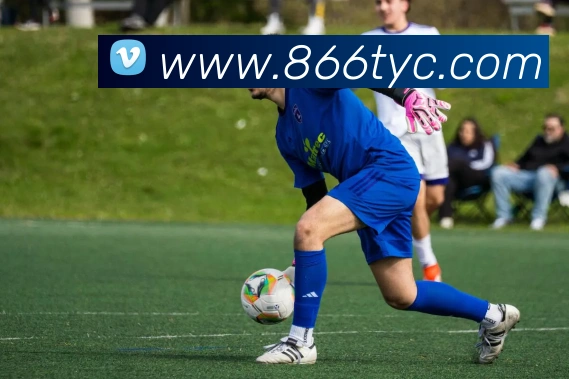 澳门太阳城线上平台生态图